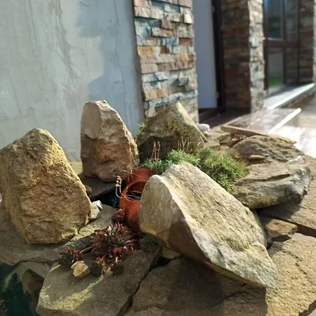 Sherpa Guest house *