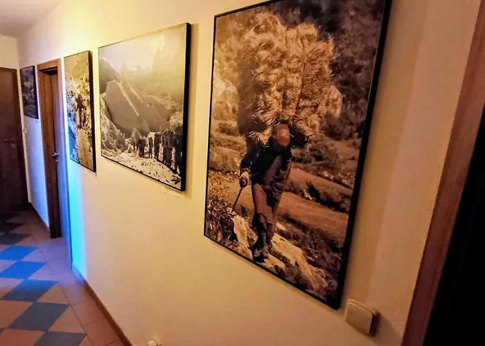 Sherpa 게스트하우스 Moravská Třebová